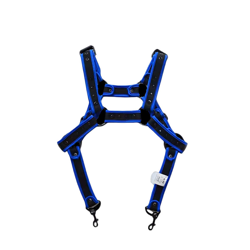 Dog & Master Body Harness Blue