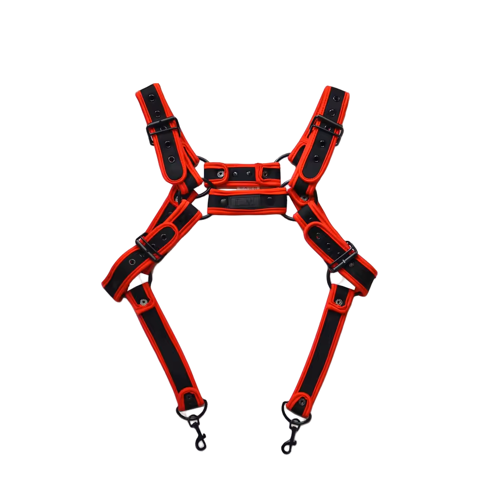 Dog & Master Body Harness Red