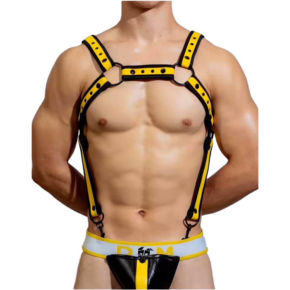 Dog & Master Body Harness Yellow