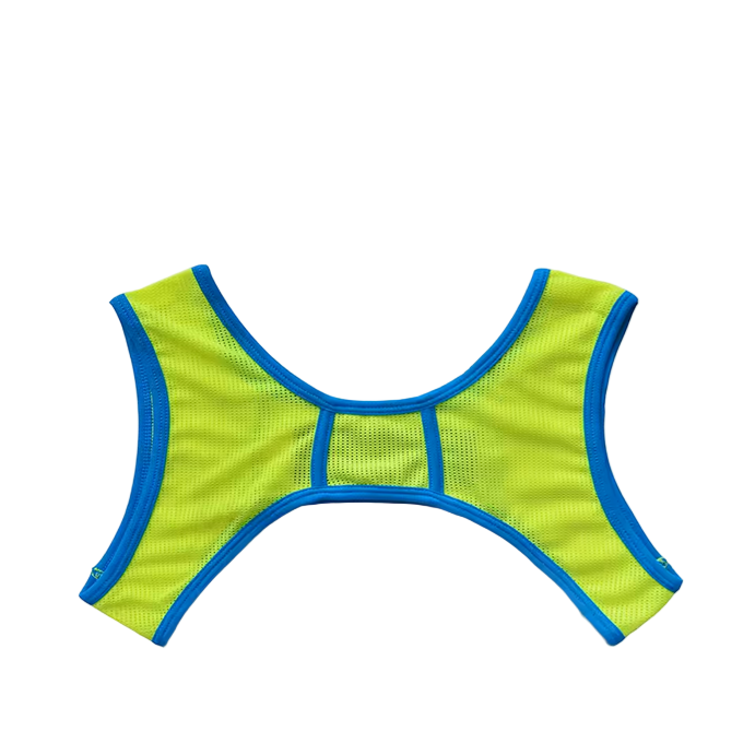 Dog & Master Mesh Harness
