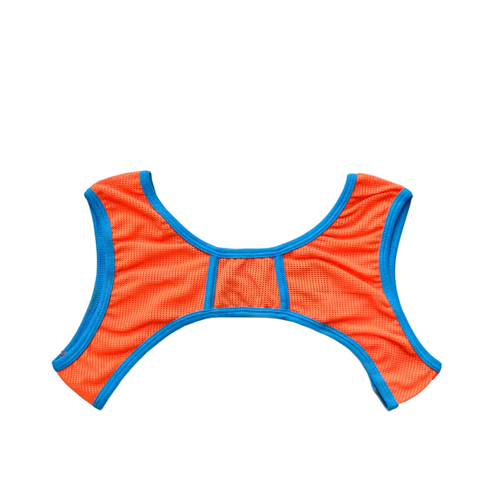 Dog & Master Mesh Harness