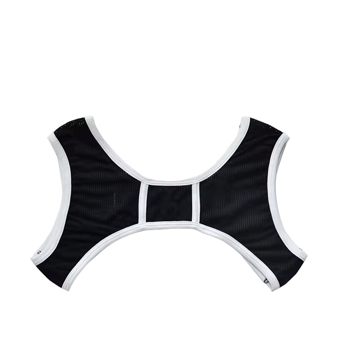Dog & Master Mesh Harness