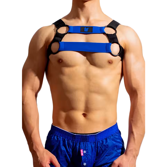 Dog & Master Cross Harness Blue