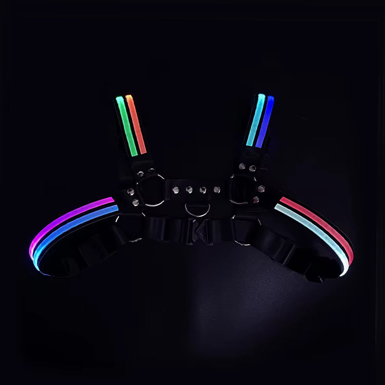 Led Halo Harness Multicolour