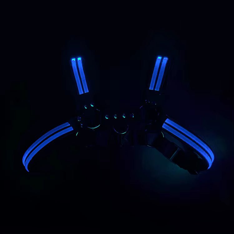 Led Halo Harness Blue