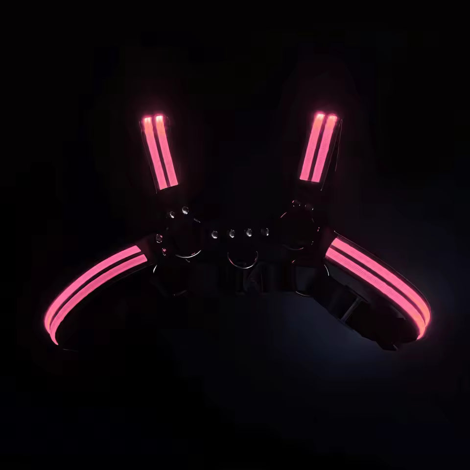 Led Halo Harness Pink