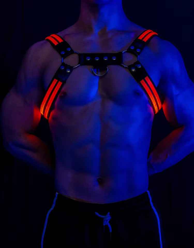 Led Halo Harness Red